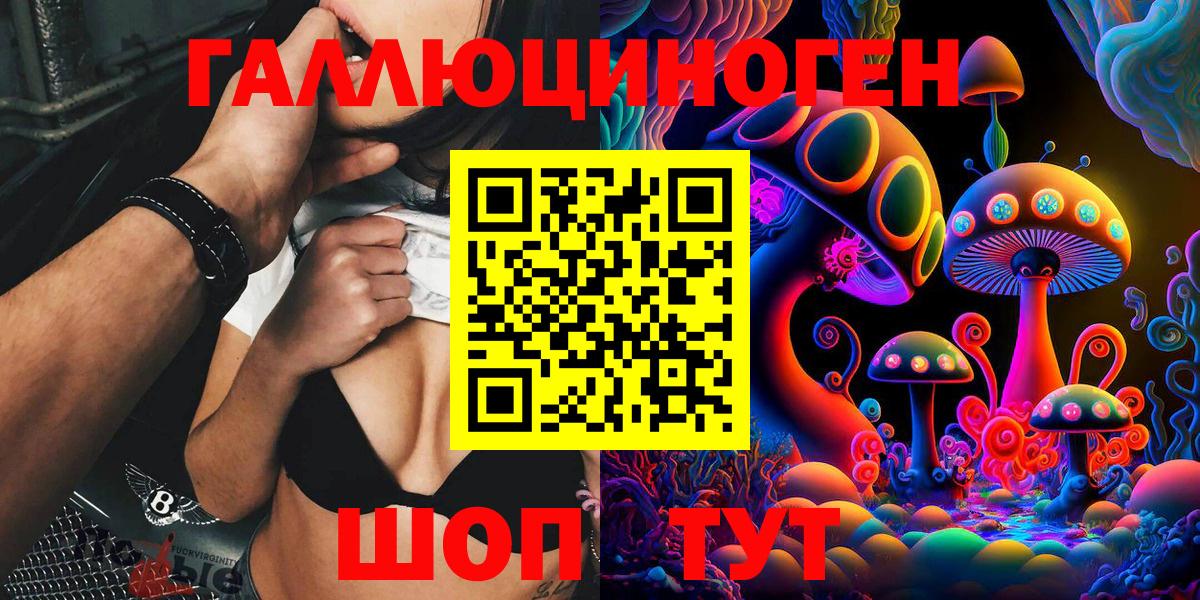 хочу   Вход с VPN  Чернушка  Галлюциногенные грибы Psilocybine cubensis 