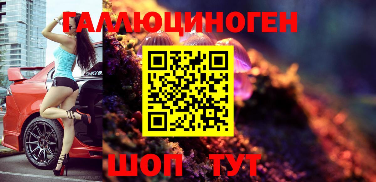 Галлюциногенные грибы MAGIC MUSHROOMS Чернушка